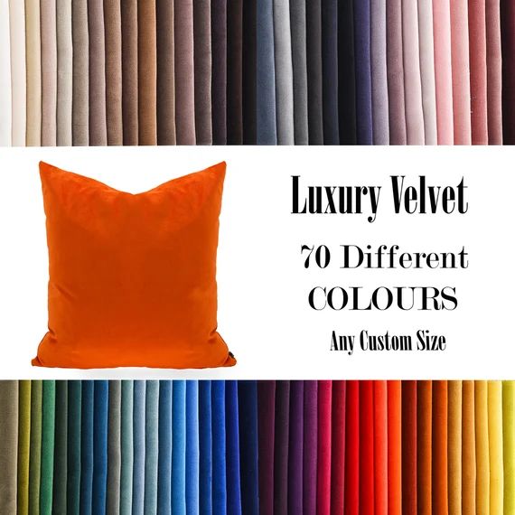 Orange Luxury Velvet Throw Pillow70  Colours Velvet Pillow | Etsy | Etsy (US)