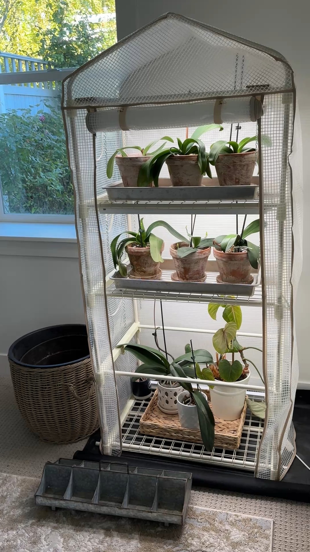 Seed starting setup with grow lights 🌱

This is my favorite affordable and neutral grow shelf and tent setup for starting seeds indoors. The grow lights make such a big difference—my seedlings stay strong, compact, and healthy without getting leggy.

It’s super compact, attractive, and takes up a very small footprint, which makes it perfect for any corner of your home or garage.

If you’re curious about how to set up your own seed starting station with grow lights, I have a full YouTube video showing this exact setup.