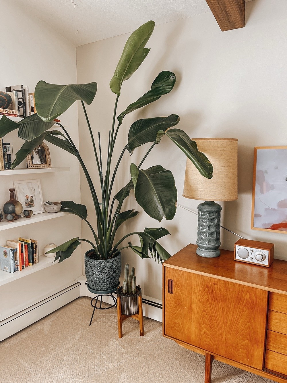 Get the look of our (throwback!) modern living room with these home décor finds ⭐️

#LTKHome #LTKFindsUnder50 #LTKFindsUnder100