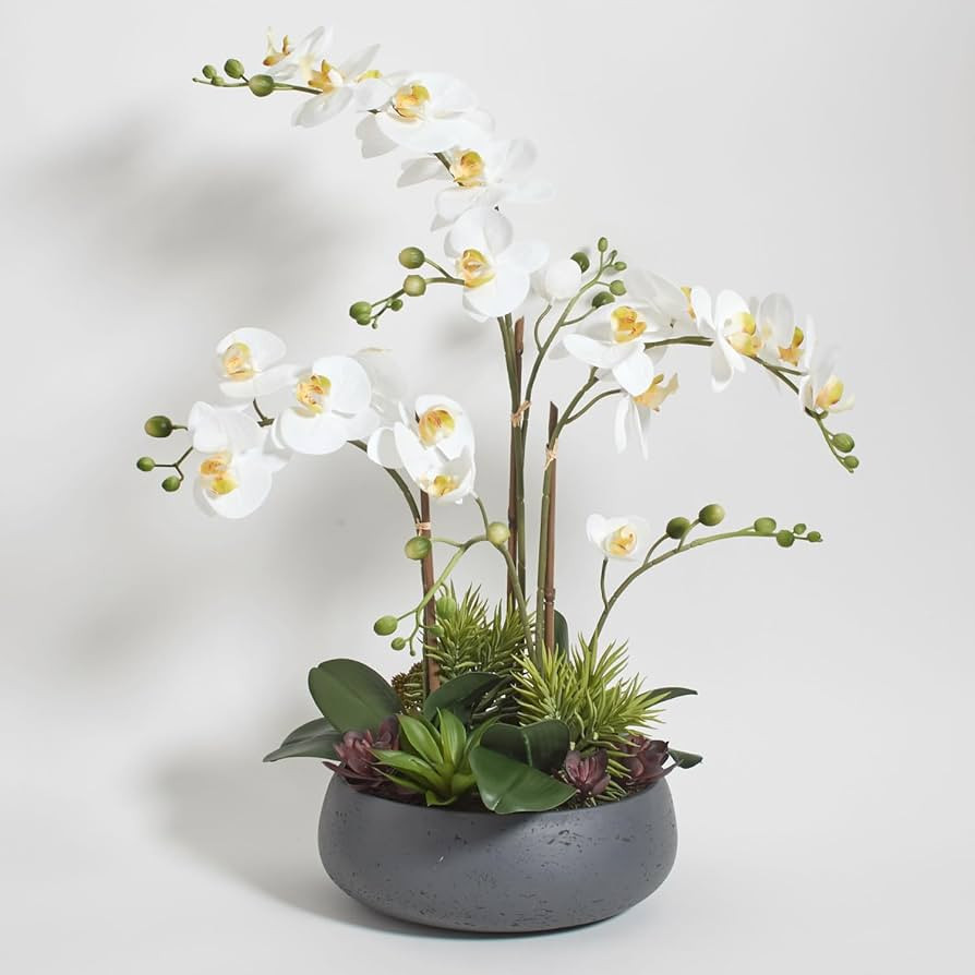 CG Hunter Faux Orchid Plant w/Succulents, Premium Artificial Indoor Flower Display Stands 24\u201... | Amazon (US)