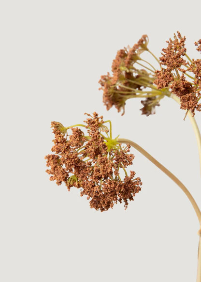 Bronze Brown Yarrow Bundle | Artificial Wildflowers | Afloral | Afloral