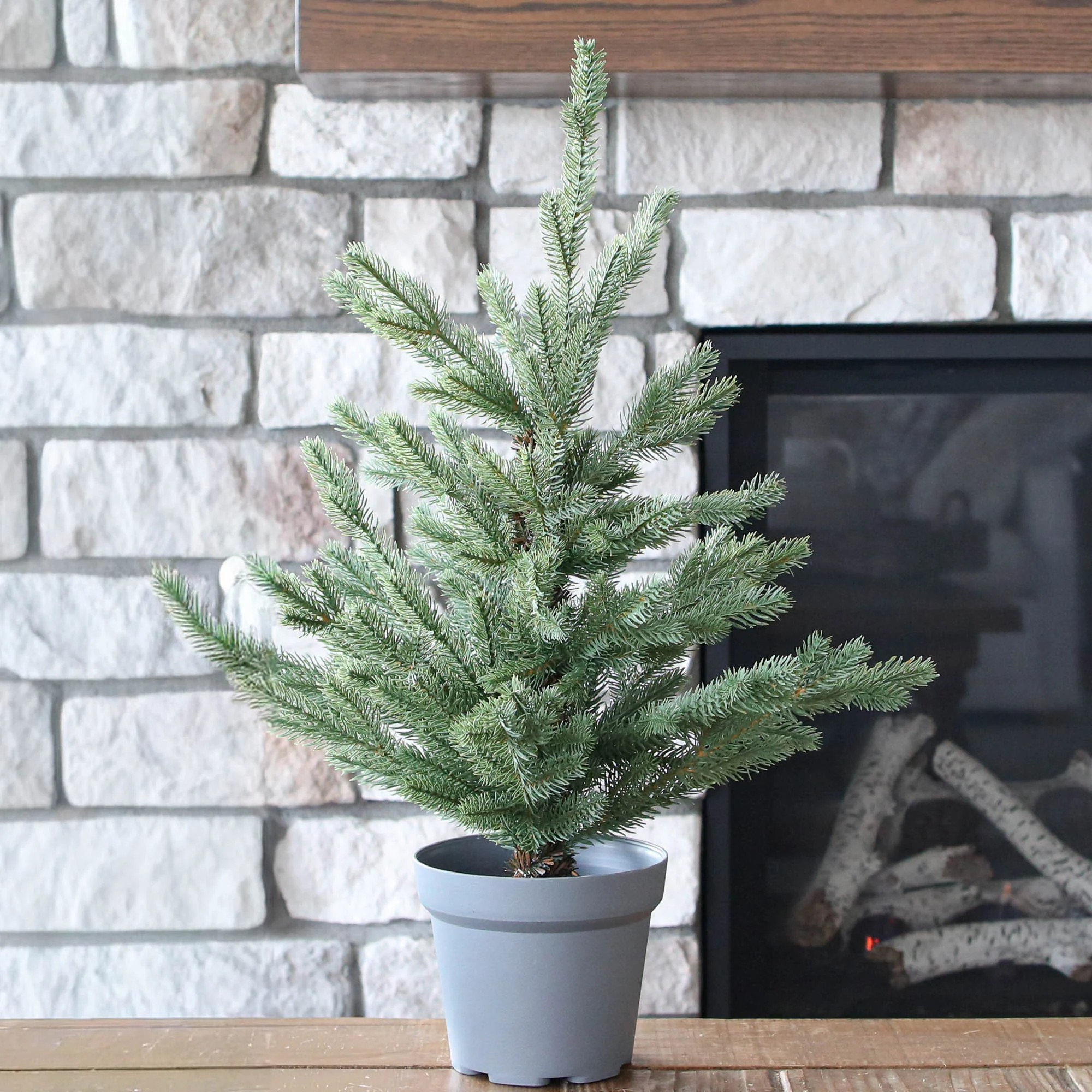 DOORBUSTER: Norway Mini Pine Tree Drop In-23in | Interior Delights