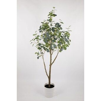 allen + roth 72-in Green Indoor Eucalyptus Artificial Tree | Lowe's