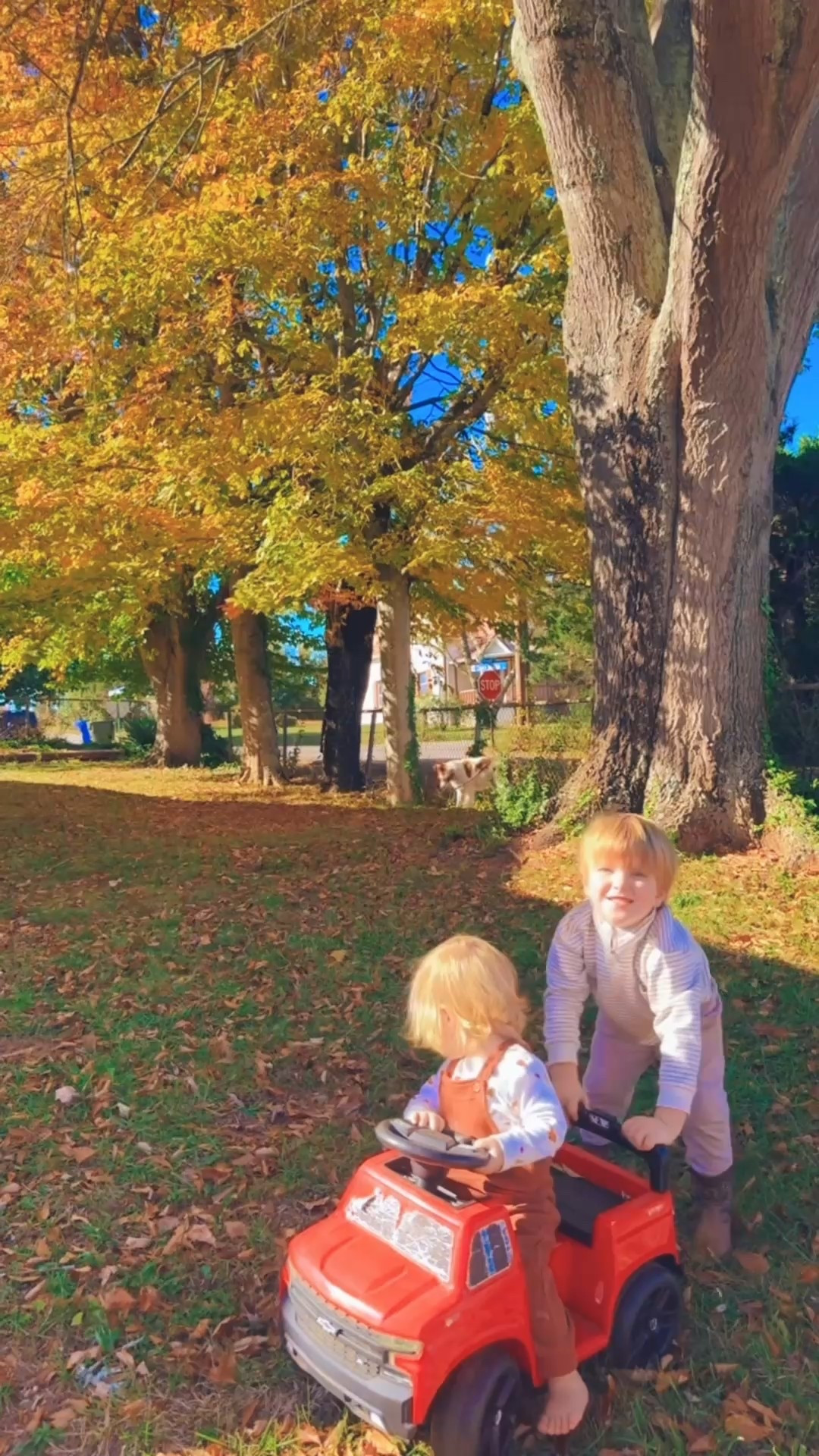 These are the days 🍂🍁✨🫶🏽🌾🤩

It just doesn’t get much cuter than this y’all 🤭 #judsonandlevirhett #brotherbesties #builtinbesties #thesearethedays 

#LTKBaby #LTKFamily #LTKKids