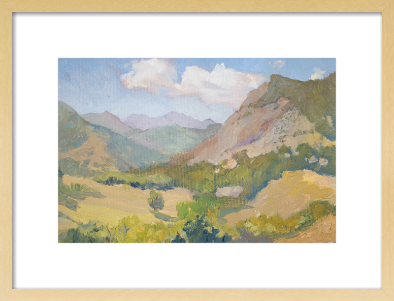 Toghasar Etude | Artfully Walls