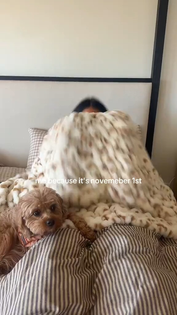   

 #LTKSeasonal #LTKHome #LTKStyleTip