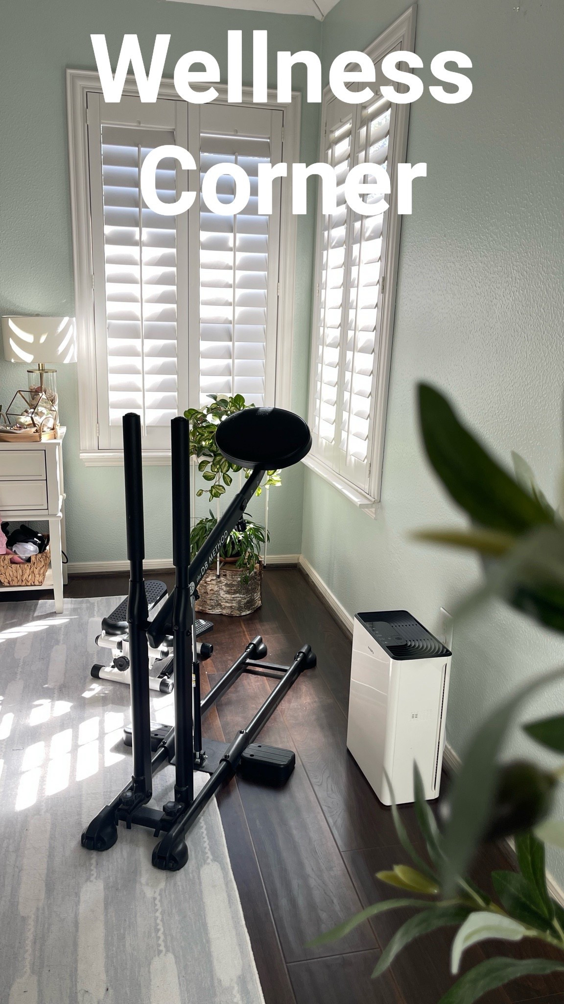 Here’s a peek at my wellness corner. The small workout gear helps me stay active in between tasks. I can get some steps in or squat while catching up on TV. 

Real houseplants brighten up the corner and also freshen the air, the perfect addition to the air purifier in this space. 

#LTKHome #LTKActive