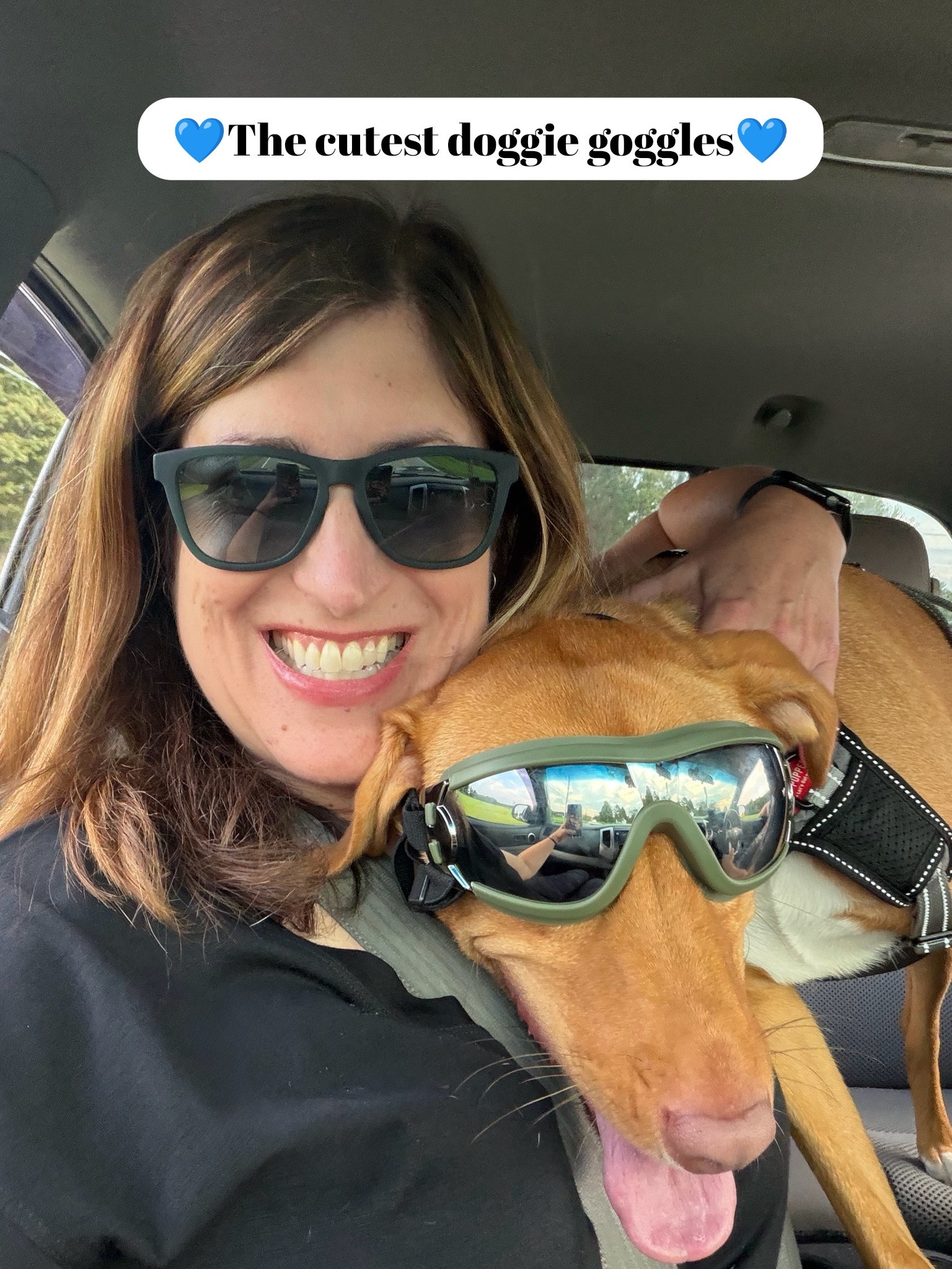 How cute is my pup in his new goggles? They are adorable, but we really got them to help him when he sticks his head out the window! Linking my Goodr sunglasses too, because they are currently on sale!