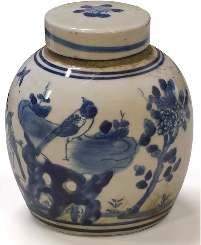 China Furniture Online Porcelain Oriental Spice Jar, Bird and Flower in Blue and White Glaze | Amazon (US)