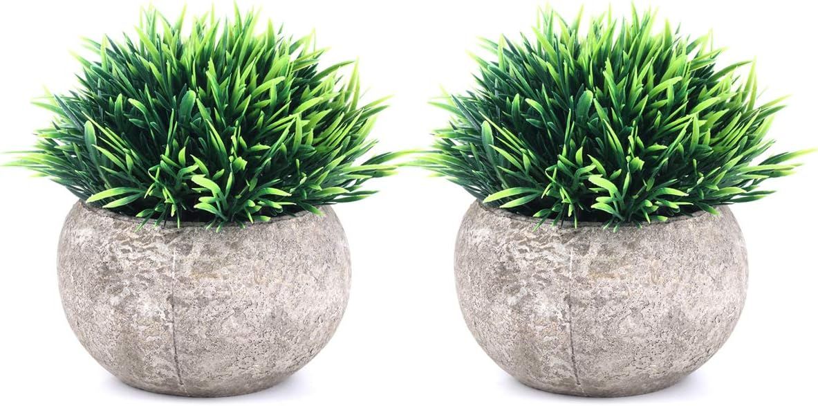 The Bloom Times 2 Pcs Fake Plants for Bathroom/Home Office Decor, Small Artificial Faux Greenery ... | Amazon (US)