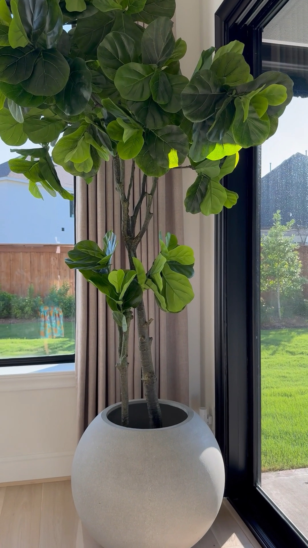 Hey friend! I’ve linked my fiddle tree and planter as well as simple planters! 🤍🫶🏽🤍

#LTKVideo 

#LTKStyleTip #LTKHome