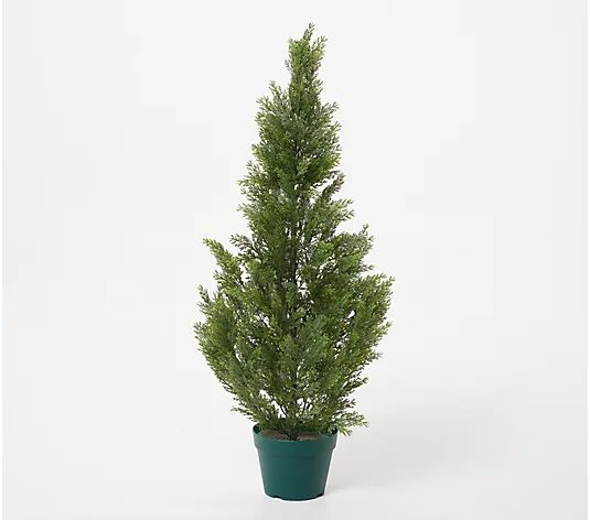 National Tree 38" Faux Indoor/Outdoor Cedar Tree with Growers Pot | QVC