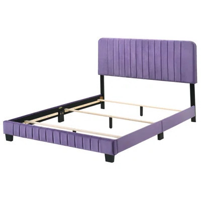 Vibrant Purple Velvet Queen Bed Modern Design For Stylish Bedrooms | Wayfair North America