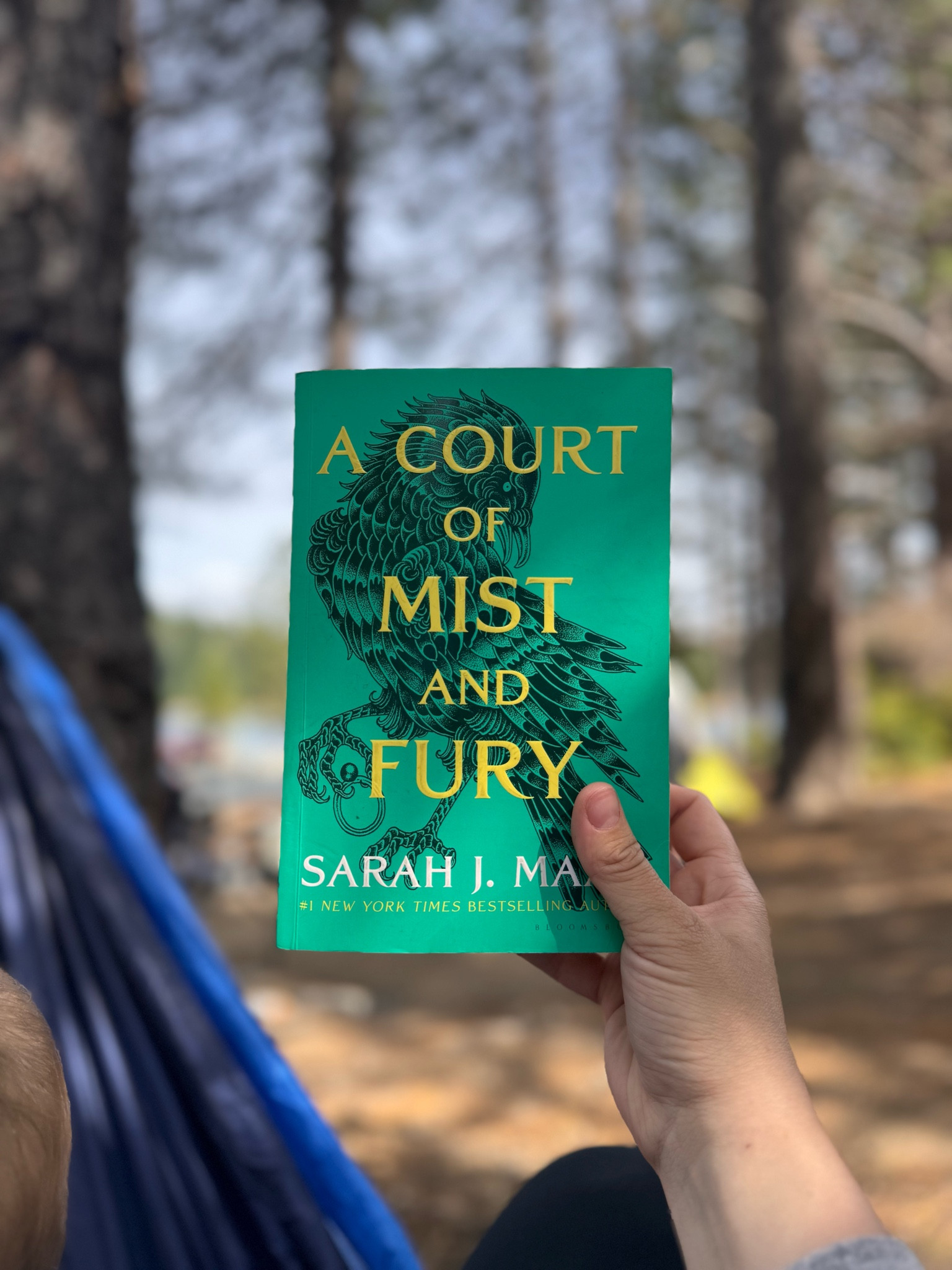 Book reads, perfect for camping ⛺️ 

#LTKTravel #LTKFindsUnder100 #LTKFamily