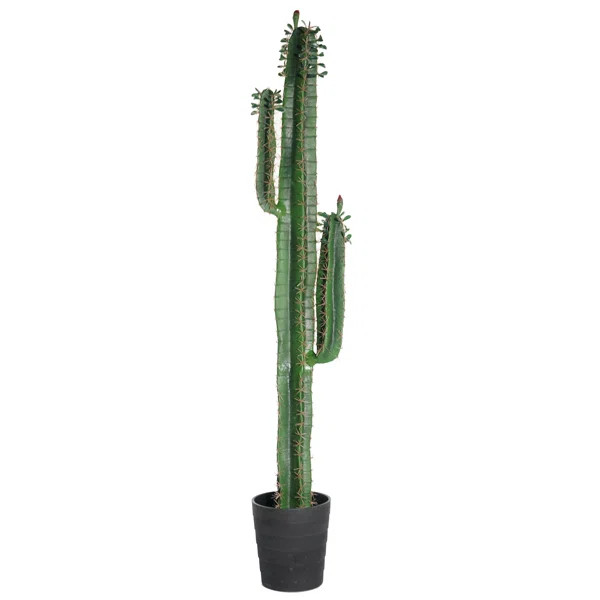 60'' Faux Cactus Plant in Pot | Wayfair North America