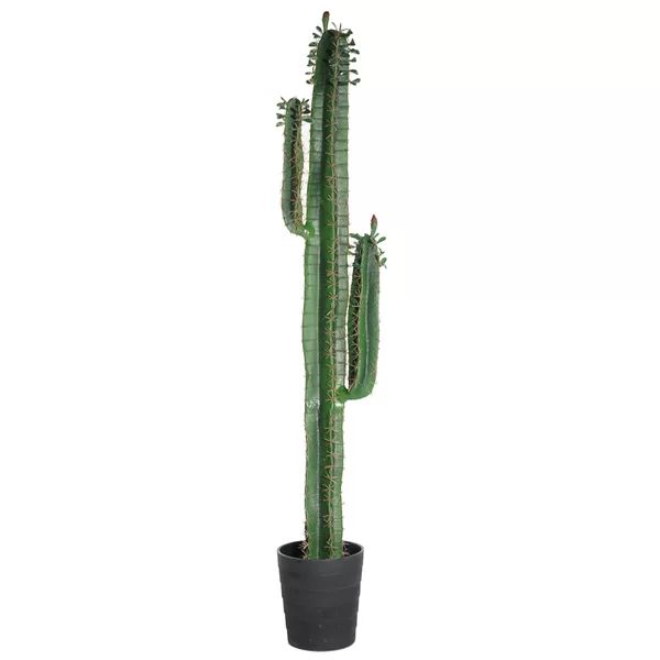 60'' Faux Cactus Plant in Pot | Wayfair North America