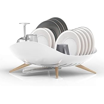carrotez Dish Drying Rack, Dish Rack, Dish drainer with Swivel Spout for Kitchen Counter, Easy In... | Amazon (US)