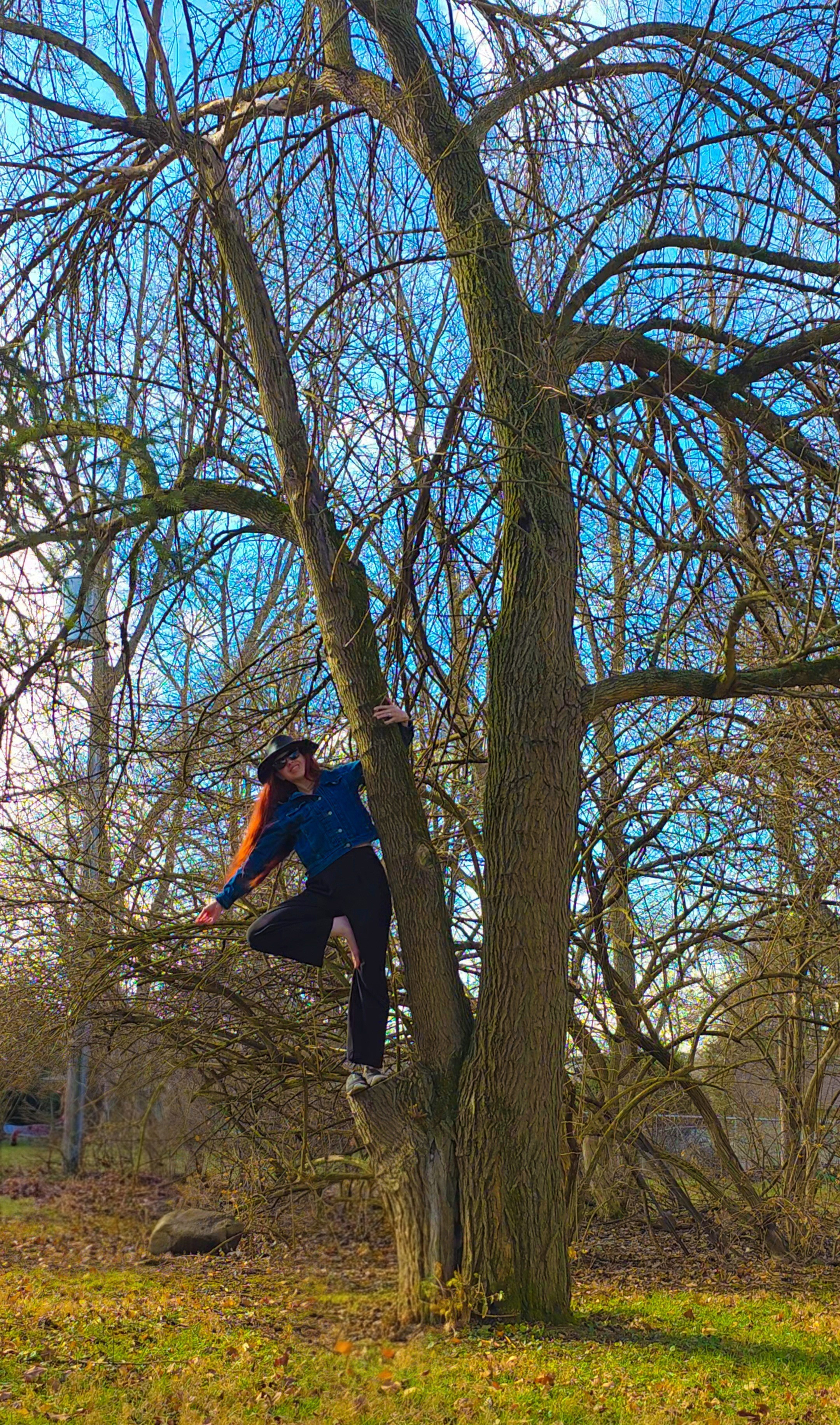 Tree pose in an actual tree.Balance is a lifestyle 🌳✨️😎Iuga, yoga, yoga outfit, Activewear, yoga essentials, yoga lifestyle, active lifestyle, fitness

#LTKdayinmylife #LTKfitnessgoals #LTKActive