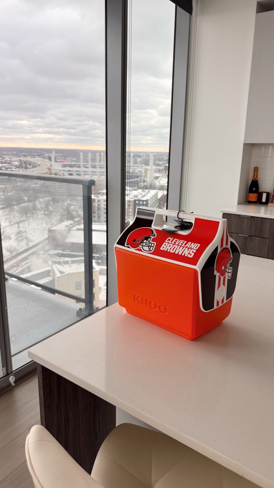 Wait how cute is this nfl cooler?! Perfect for tailgates or family bbq’s and a great gift idea! And of course it comes in all the teams! 

#LTKGiftGuide #LTKHoliday #LTKCyberWeek