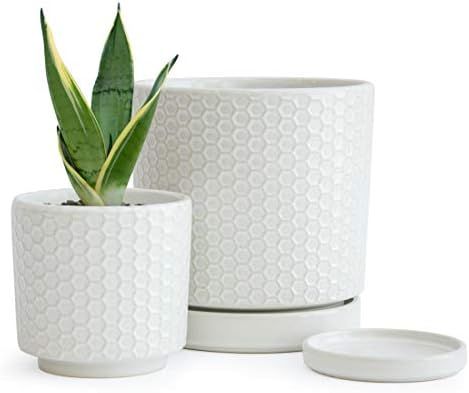 Set of 2 Modern Matte White Honeycomb Embossed Ceramic Planter Pot with Saucer and Drainage Hole,... | Amazon (US)