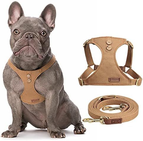 No Pull xs Dog Harness with Multifunction Dog Leash,Soft Adjustable No Choke Escape Proof Pet Harnes | Amazon (US)