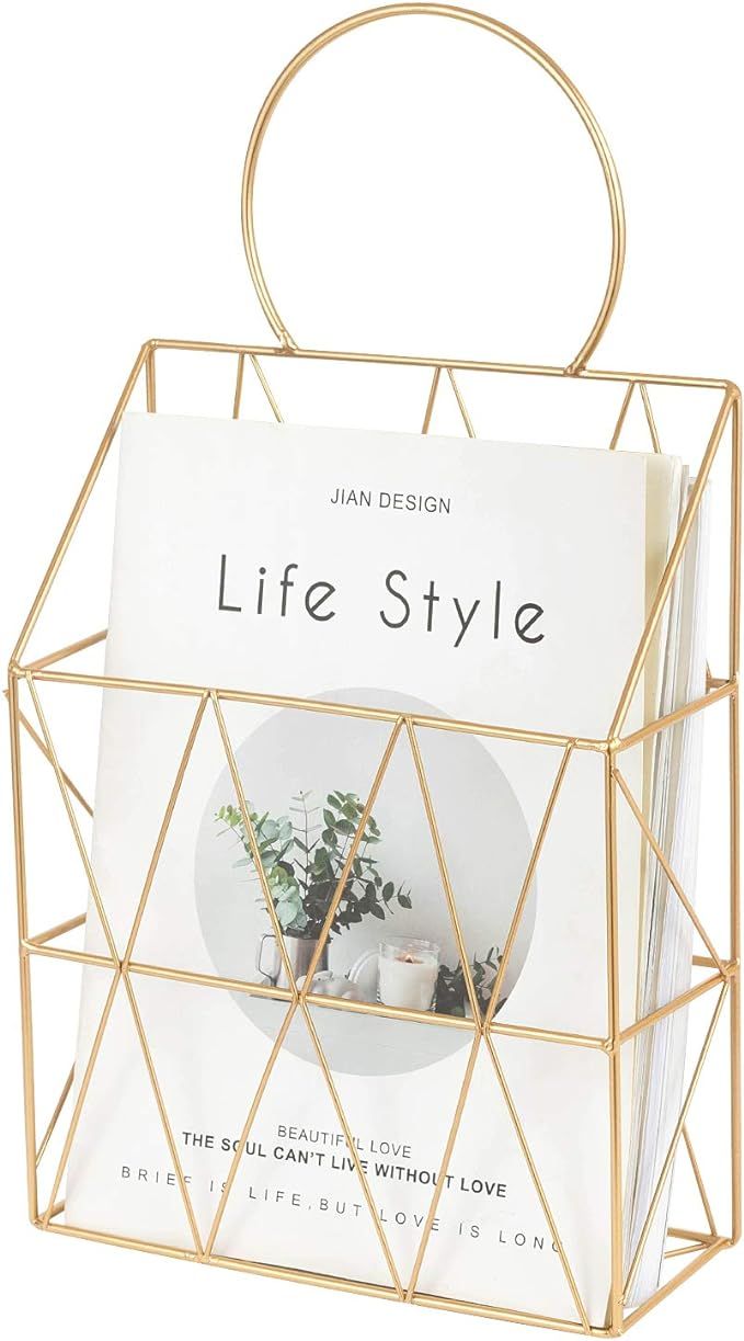 YINASI WGFKVAS Wire Magazine Holder, Gold Newspaper Organizer Storage Basket Wall Mounted for Liv... | Amazon (US)