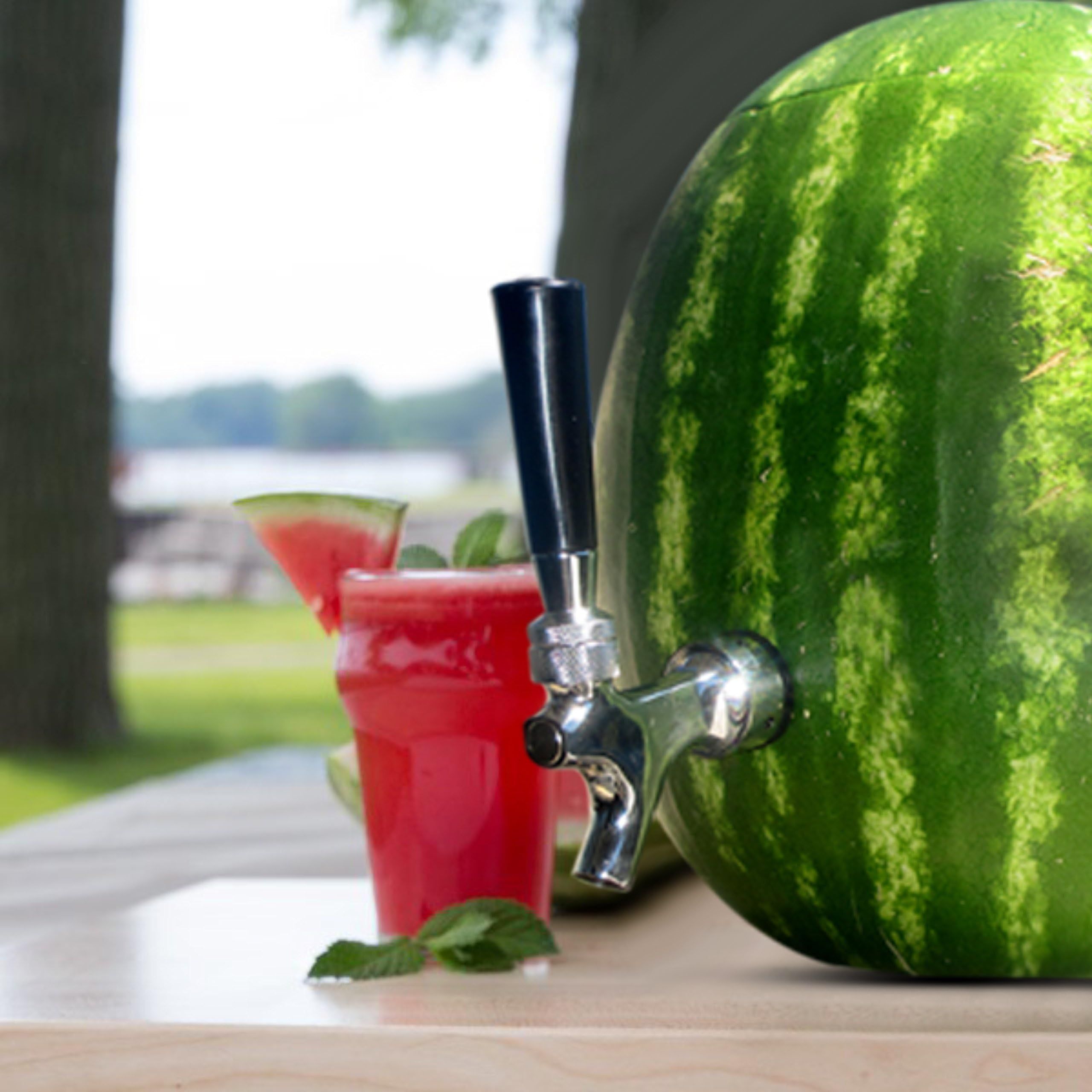 Blazin Watermelon Tap - Brass and Chrome Keg Kit - Pumpkin Fruit Ice Tea Drink Dispenser | Amazon (US)
