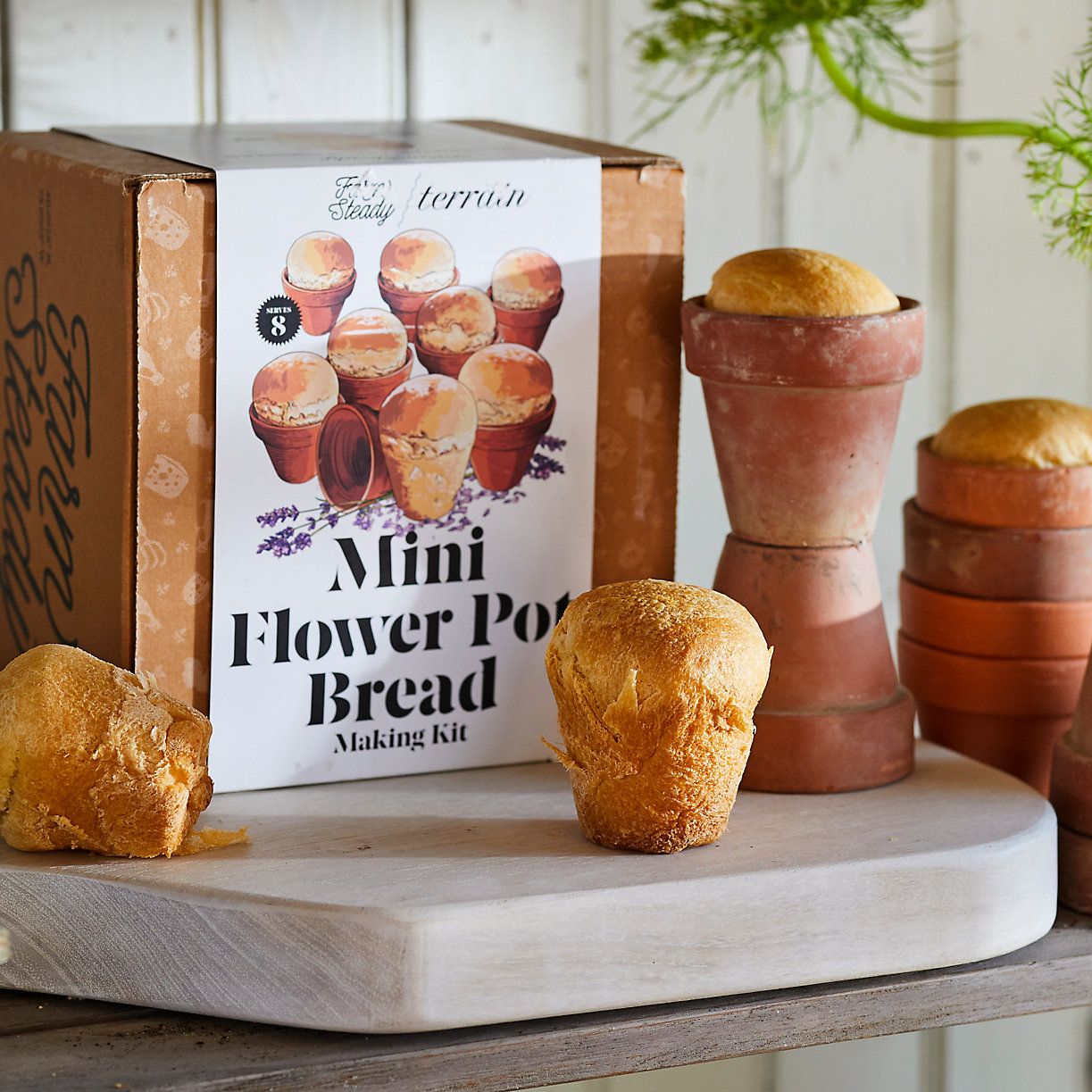 Mini Flower Pot Bread Kit, Set of 8 | Terrain