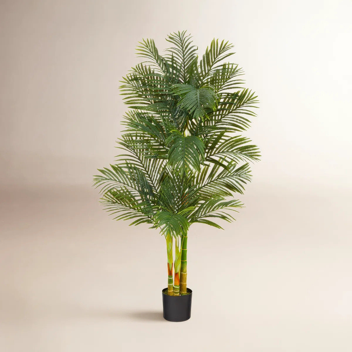Faux Palm Tree in Planter | Wayfair North America