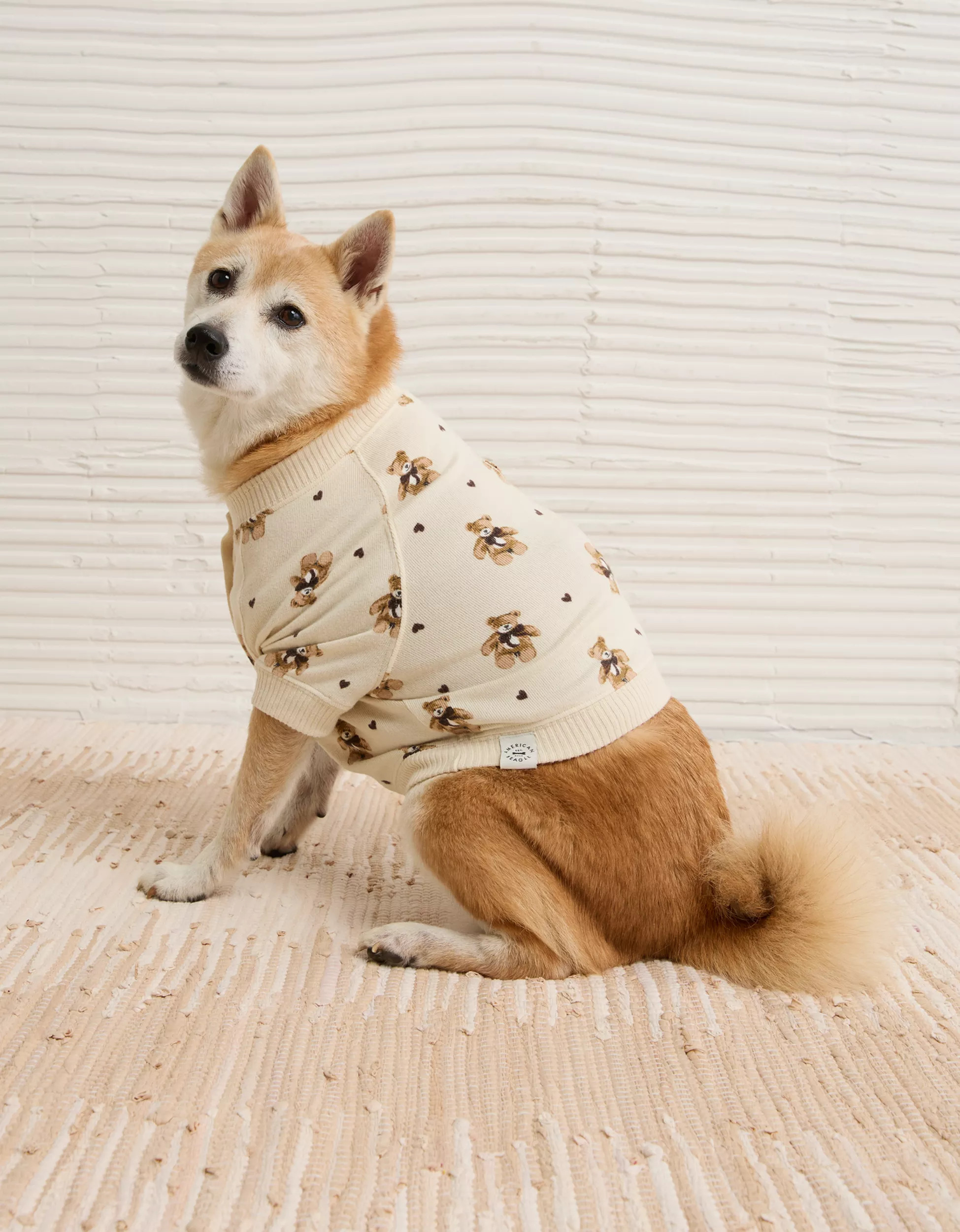 ABO Teddy Bear Dog Sweater | American Eagle Outfitters (US & CA)