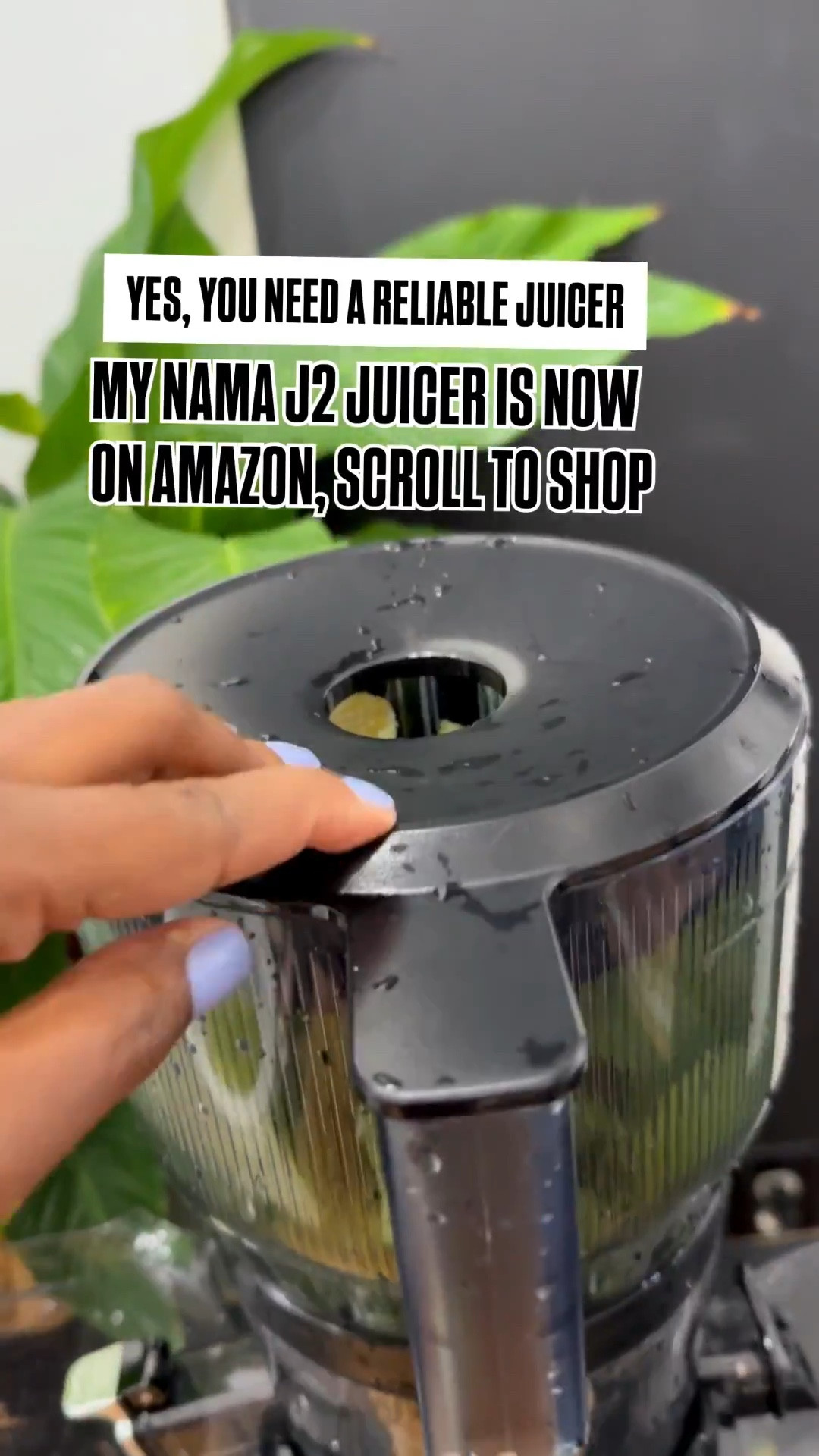 My Juicer the Nama J2 Is now on AMAZON!! Scroll to shop the Juicer, mason jars and chia seeds. 

#LTKHome #LTKFamily #LTKSeasonal