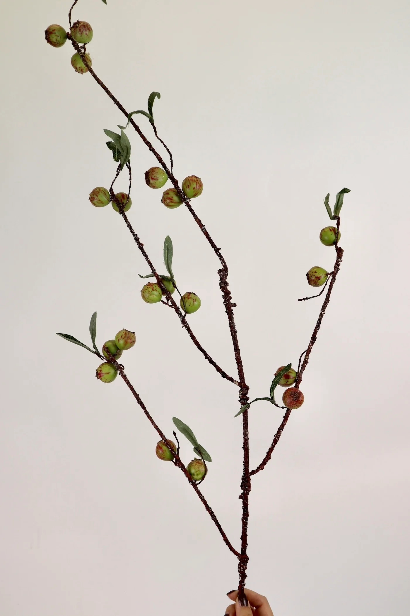 Rosehip Stem - 48” | THELIFESTYLEDCO