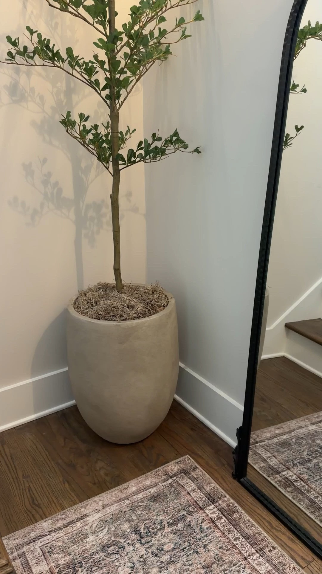 Faux Olive tree and planter from Amazon

Amazon faux tree, black olive tree, tall faux tree, tall planter, concrete planter, Amazon planter

#LTKHome #LTKmomlife
