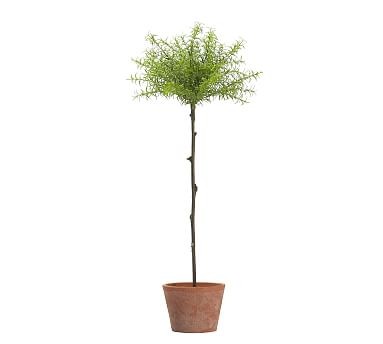 Faux Topiary Ball - Tall | Pottery Barn (US)