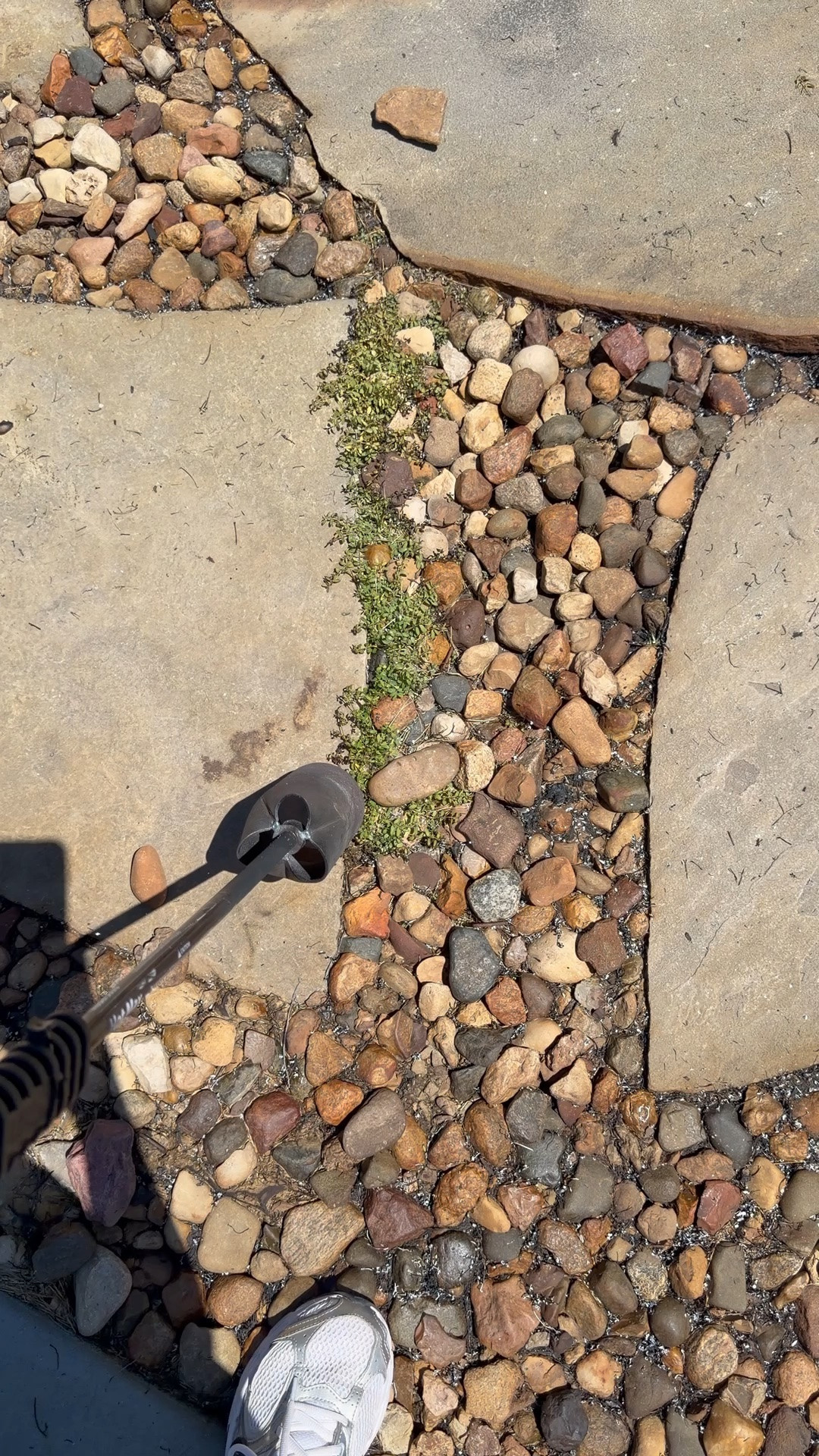 So satisfying to burn all the weeds away. I always hose everything down when I’m done!