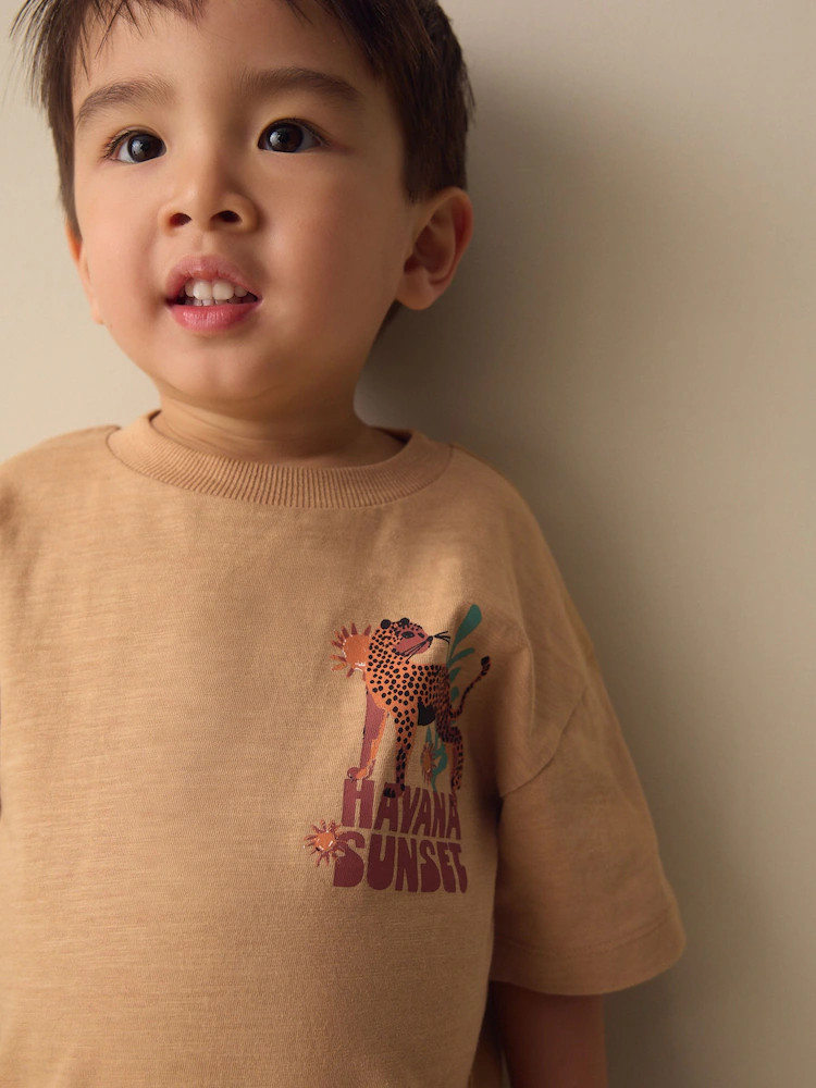 Tan Cheetah Havana Sunset Short Sleeve Back Print T-Shirt (3mths-7yrs) | Next US