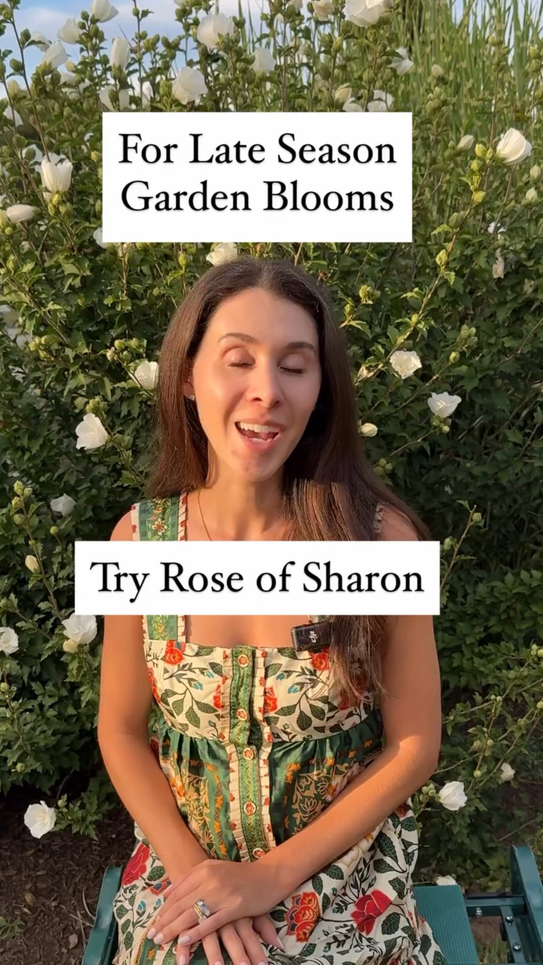 When other plants in the garden have started to slow down for the season; rose of Sharon is just getting started! Do you have rose of Sharon in your garden? #gardening #roseofsharon #fallflowers #flowergarden #landscapeplants