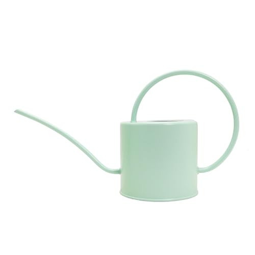 Lechloris Indoor Watering Can for Houseplants-Long Spout Metal Watering Can for Indoor Plants, Succulents or Outdoor Garden Flower, 1.3L / 40 oz Mint | Amazon (US)