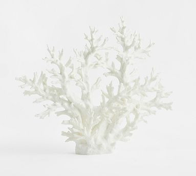 Spiked Coral | Pottery Barn (US)
