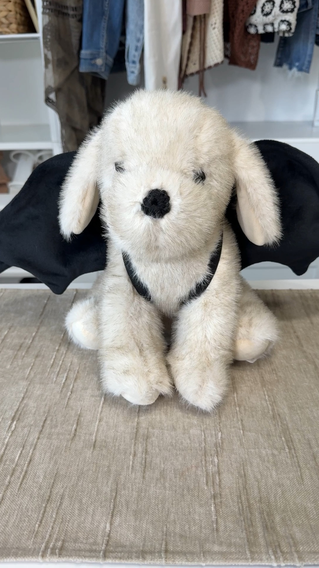 Don’t wait for Halloween to pick up this bat dog. It is the cutest puppy from Pottery Barn and it has big shapeable black bat wings. 

#LTKHome #LTKSeasonal