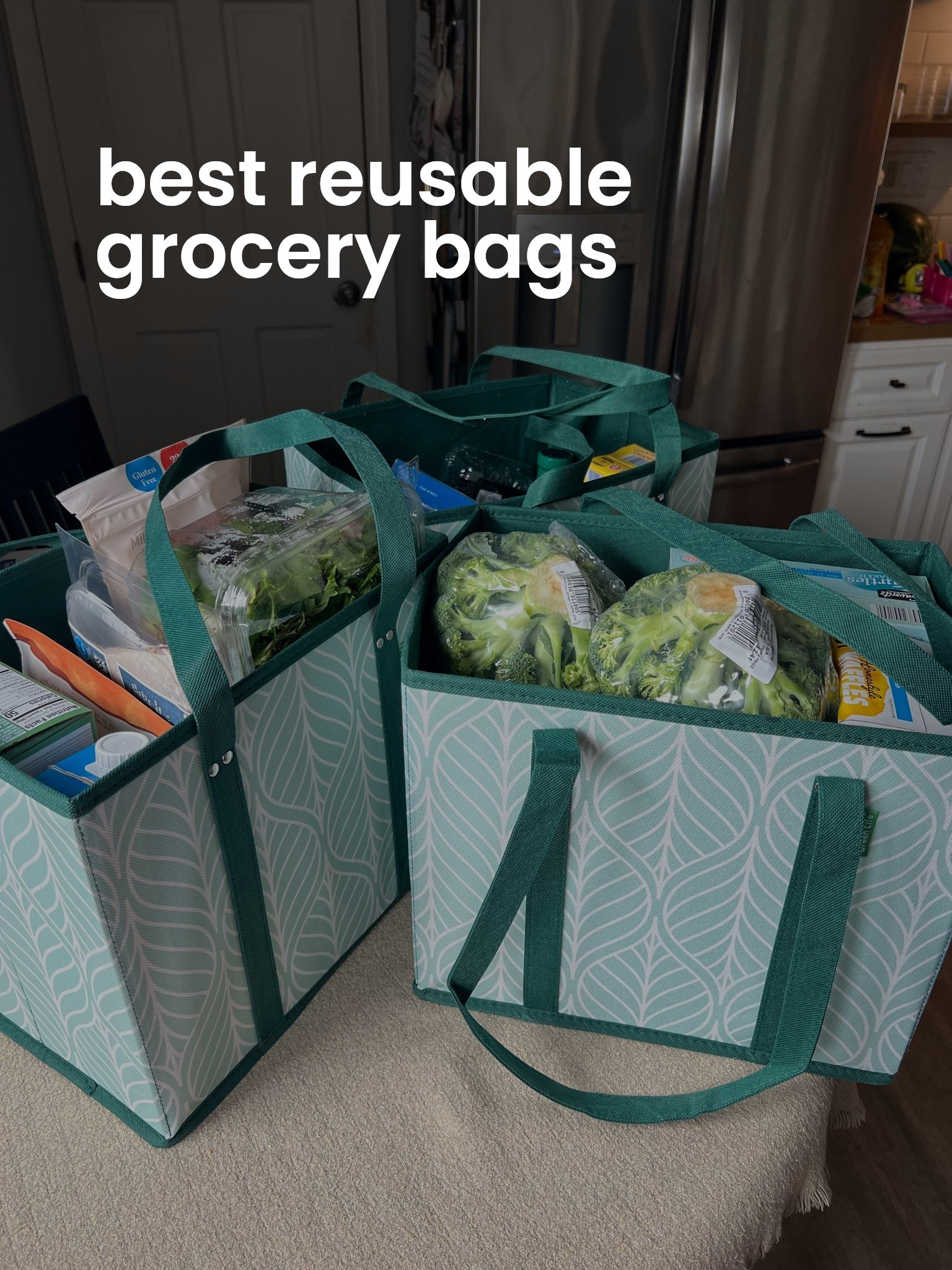 reusable grocery bags that fold flat

#LTKmomlife #LTKfoodie #LTKvlog