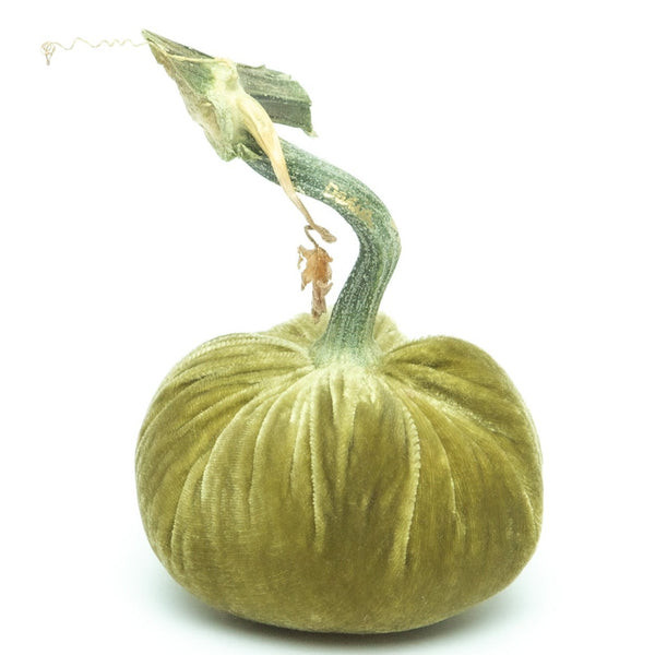 Celery Silk Velvet Pumpkin | Hot Skwash