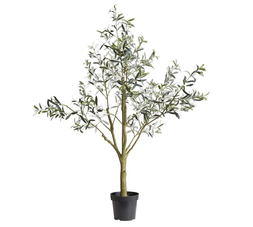 Faux Potted Olive Tree, 6 Ft. | Pottery Barn (US)