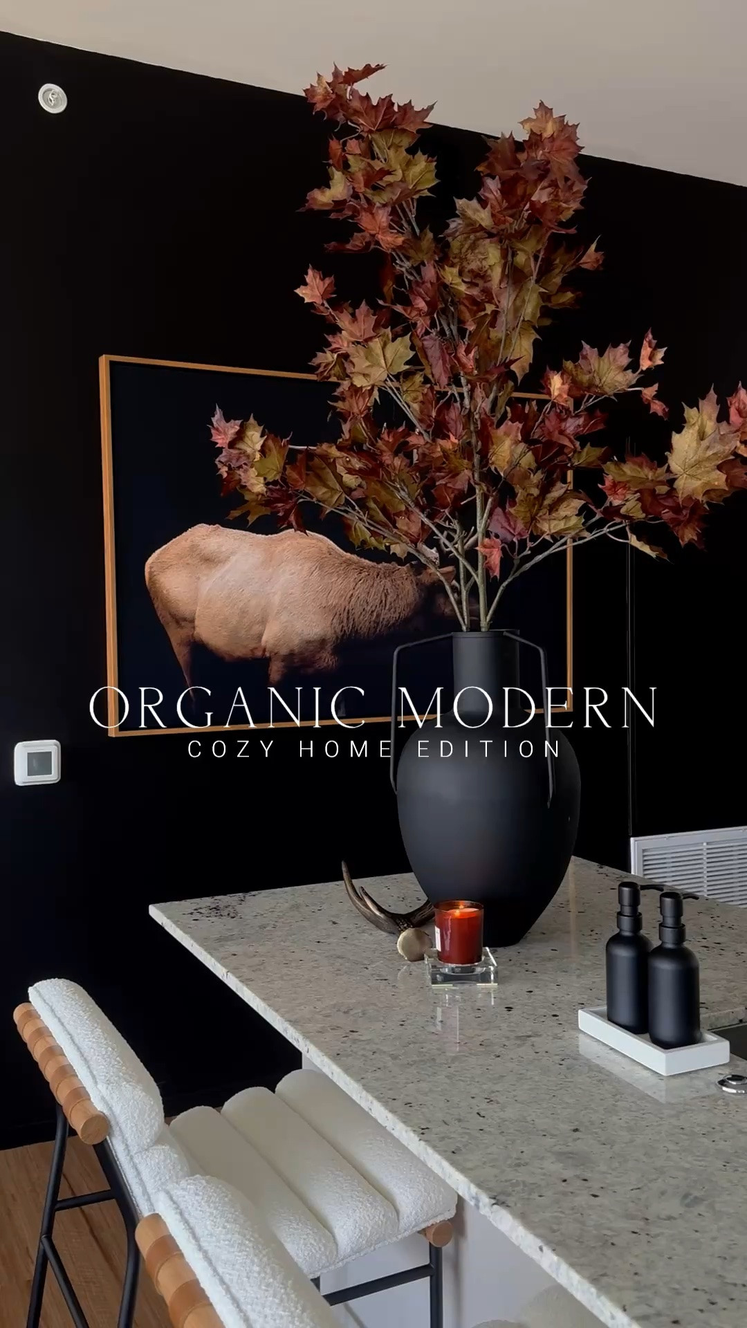 Cozy home decor for fall🍂 use my code Elisha at Alice Lane to save 20%

Organic modern, fall foliage, fall decor

#LTKHome