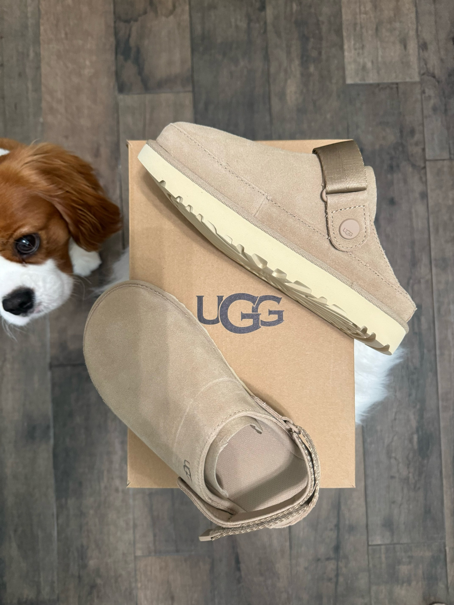 The IT shoes for Fall 

#LTKStyleTip #LTKFallSale #LTKBacktoSchool