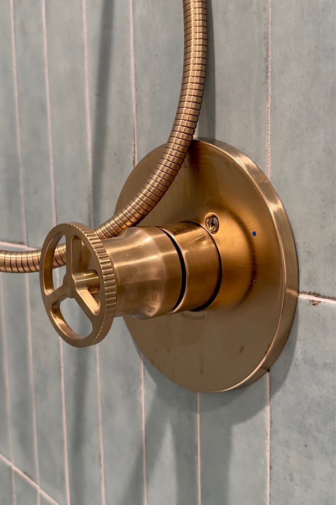 In love with this wheel shower valve, especially the brushed gold against the turquoise subway tile.

#LTKHome #LTKStyleTip