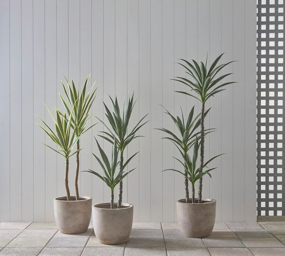 Faux Yucca Tree In Pot | Pottery Barn (US)