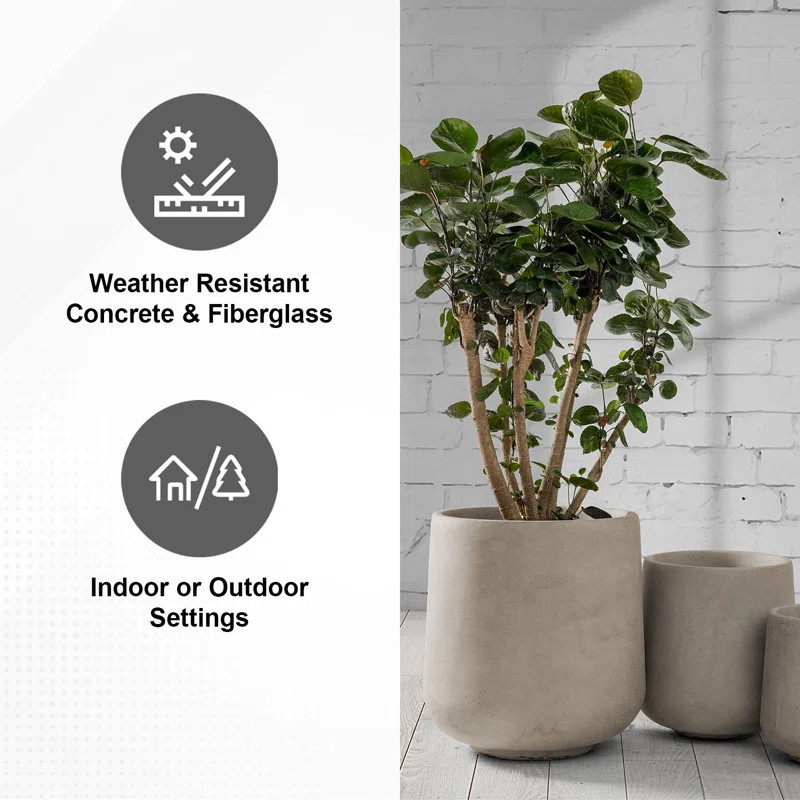 Kante Round Concrete Planters, Outdoor Indoor Pots Containers with Drainage Holes Set & Reviews |... | Wayfair North America