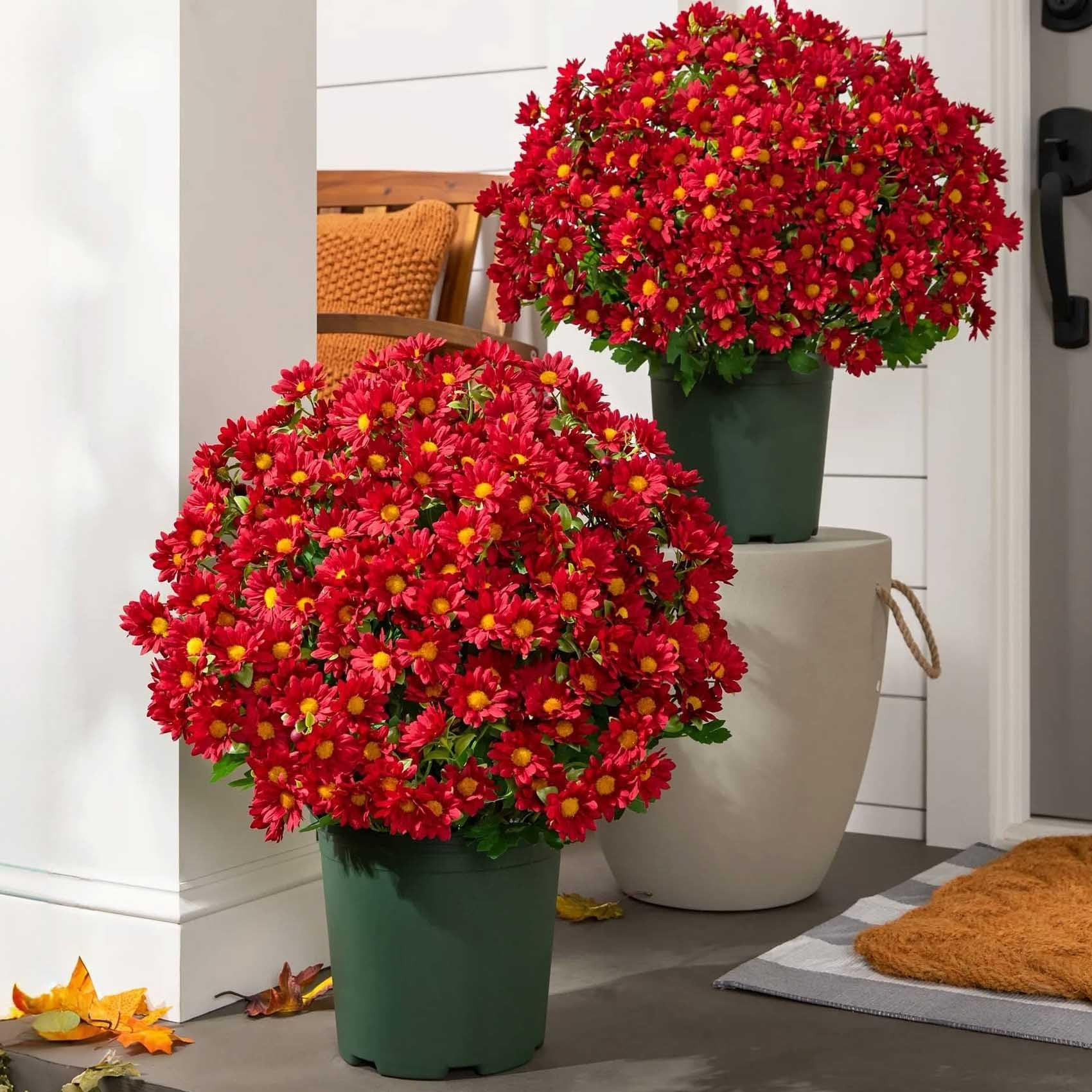 Artificial Fall Flowers Fake Mums for Outdoors Look Real UV Resistant Waterproof No Fade Faux Flo... | Amazon (CA)