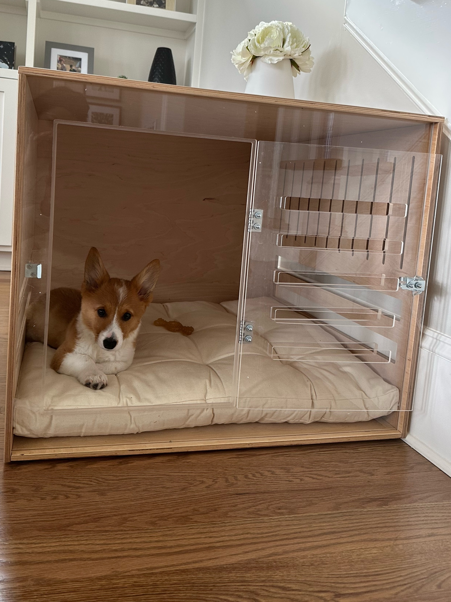 Fancy crate that goes with modern home decor! Especially if it has to sit out on the main living space area! It comes with the bed inside.  
Dog crate | doggy crate | modern dog crate | pet home | pet accessories | pet needs | pet crate | dog home | doggy home 

#LTKFind #LTKhome #LTKfamily